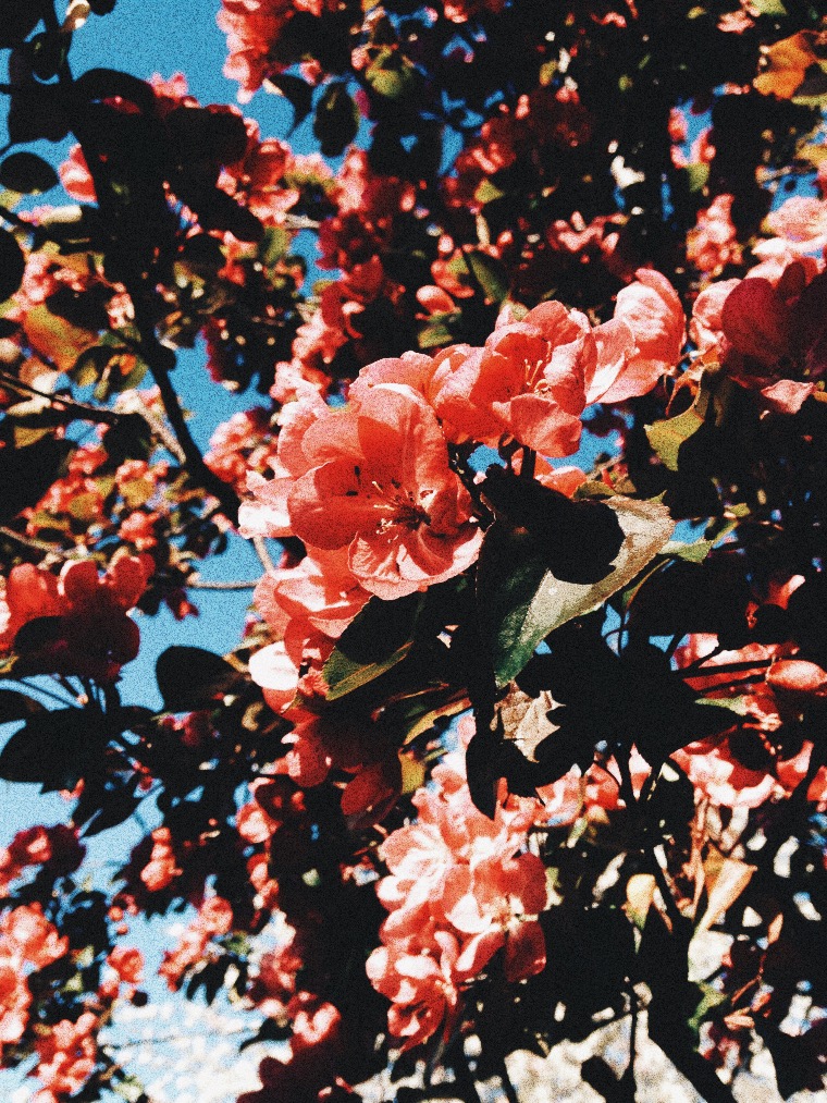 Processed with VSCO with hb2 preset